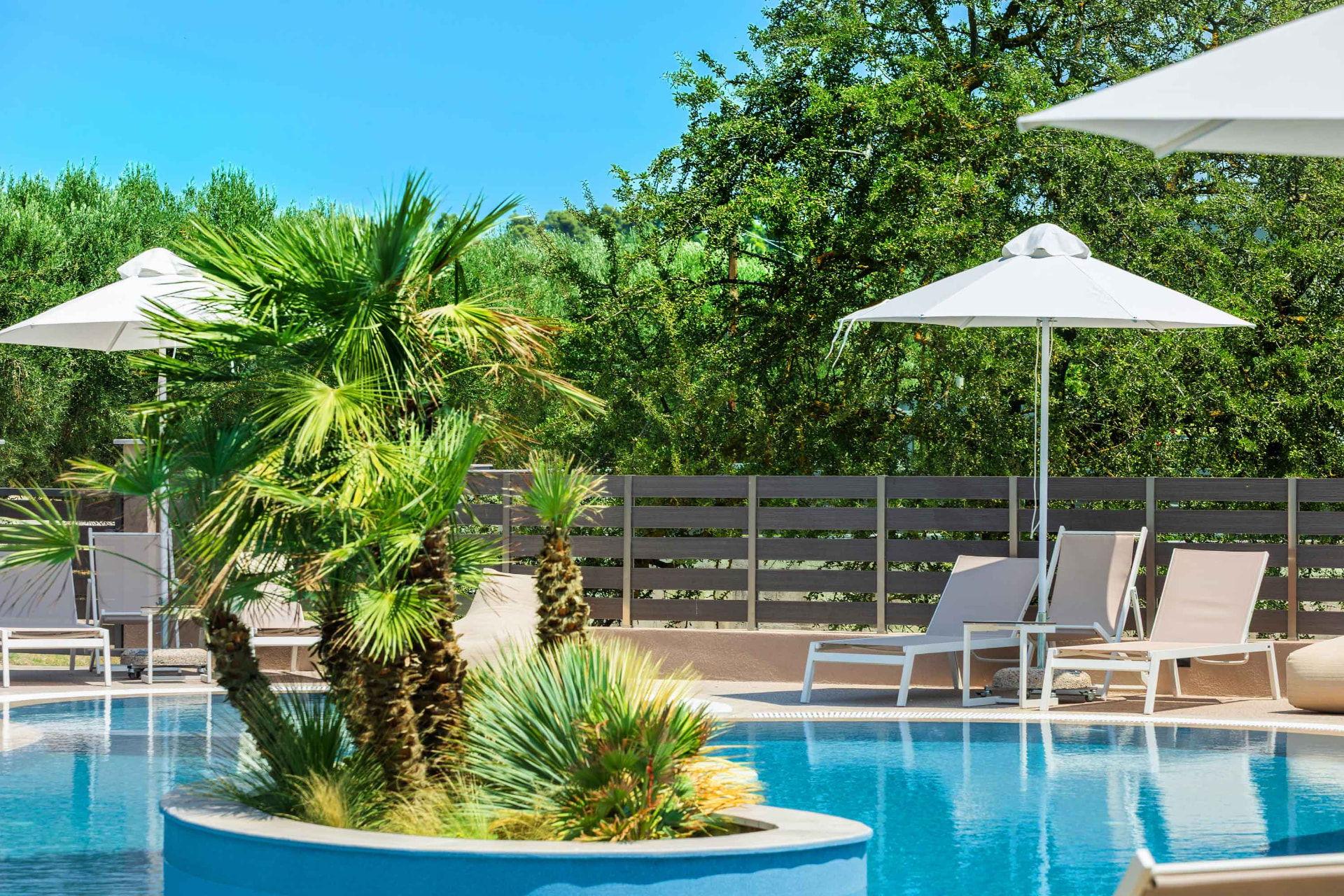 anese — palms and umbrellas at the pool edge